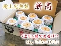 梨嬉ページ 九州梨｜九州産の米や果物など、農家直送通販｜FLCパートナーズ