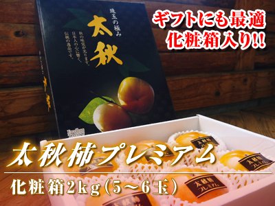 【チルド便】 熊本産太秋柿プレミアム化粧箱入...