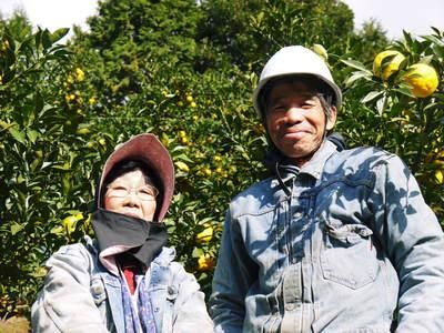 冬至用柚子｜九州産の米や果物など、農家直送通販｜FLC