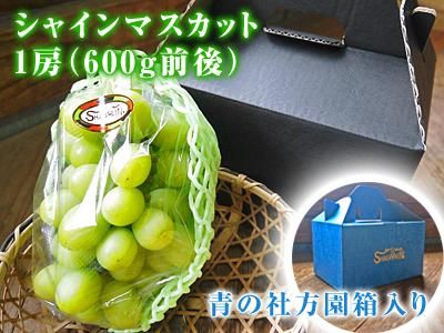 九州熊本産シャインマスカット600g|九州産の米や果物など、農家 九州熊本産シャインマスカット600g|九州産の米や果物など、農家