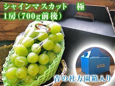 九州熊本産シャインマスカット700g｜九州産の米や果物など、農家直送