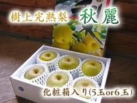 九州梨｜九州産の米や果物など、農家直送通販｜FLCパートナーズ