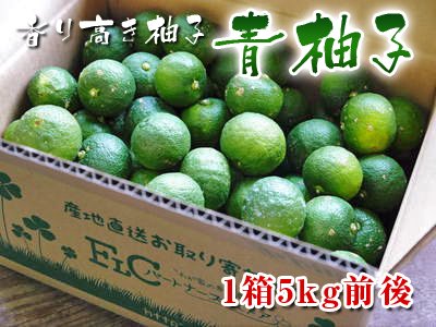 九州産青柚子｜九州産の米や果物など、農家直送通販｜FLCパートナーズ 