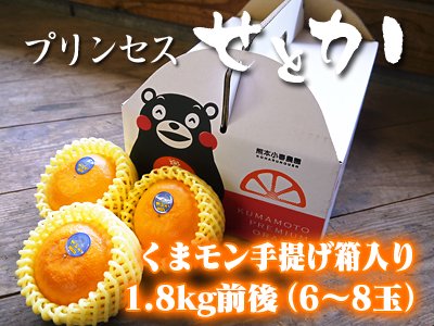 九州熊本産究極の柑橘 せとか くまモン手提げ箱 九州熊本産の米や果物など 農家直送通販 Flcパートナーズストア