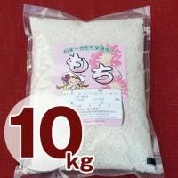 岩手県産 ヒメノモチ 10kg（5kg×2袋） - 有限会社河判オンライン