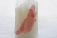 Art Candle˭