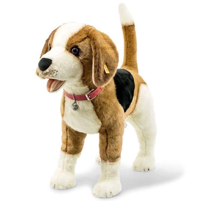 シュタイフ ネリーザビーグル 65cm Ean