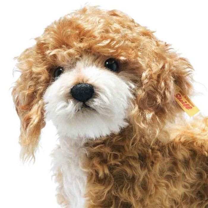 シュタイフ　steiff 　コッカープー　犬 シュタイフ コッカープーのリッキ― 27cm EAN031557