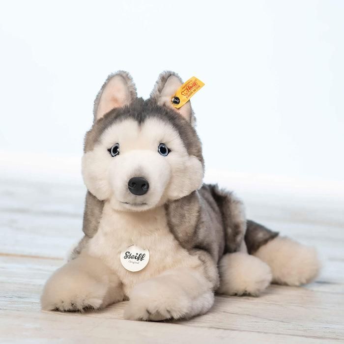 シュタイフ ハスキーのバーニー 33cm EAN067891