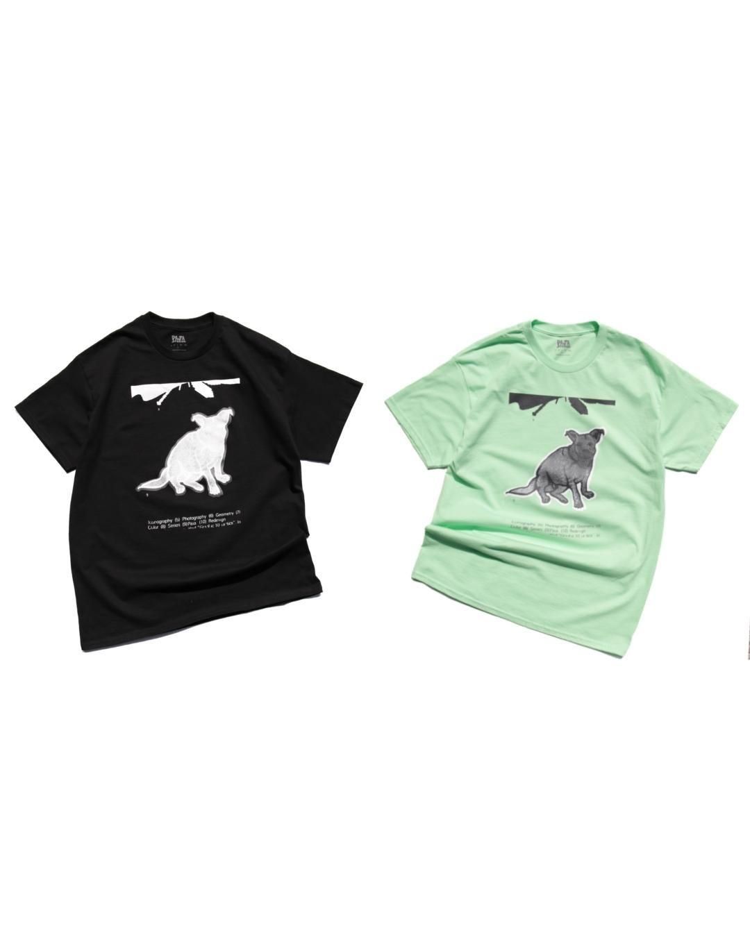 PAJA STUDIOCLIP TEE