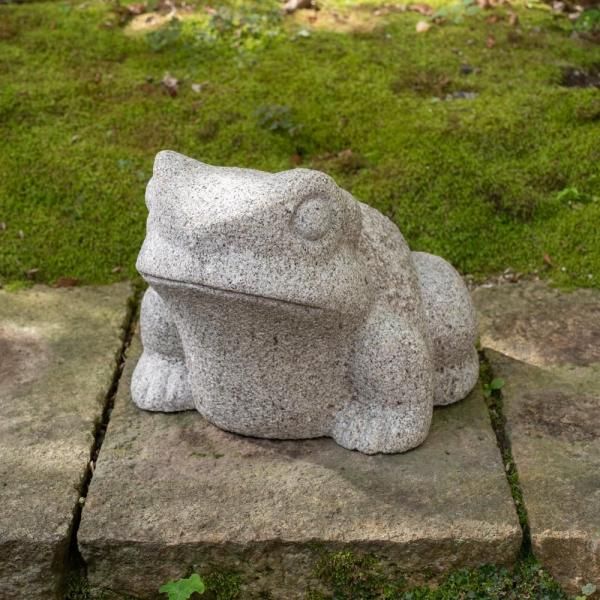  | Frog