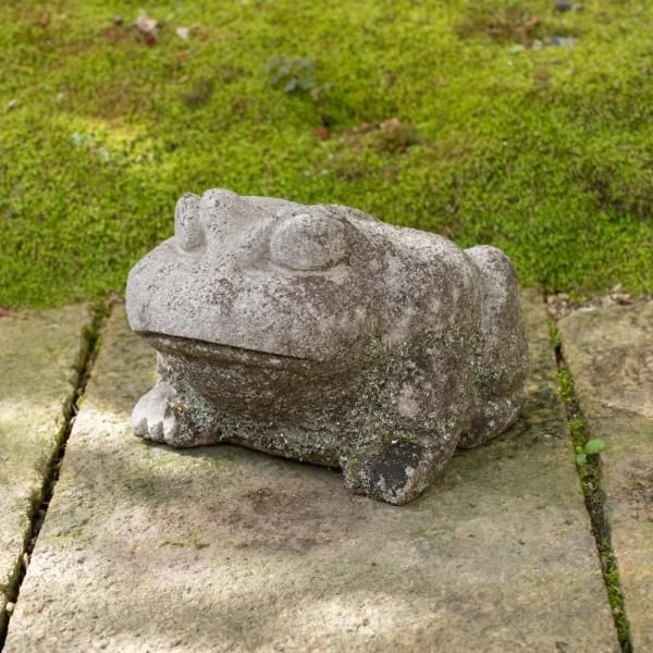 껺 | Frog