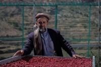 Miscetti PARADISO コーヒー豆 6袋セット Miscelit PARADISO コーヒー豆 6袋セット Miscelit PARADISO