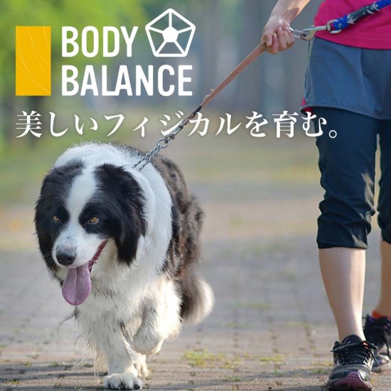 【保証書付】 ボディーバランスシステム ボディバランス大型犬・中型犬用アダルト 犬用品