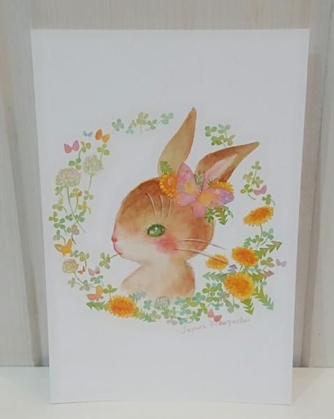 ポストカード 花のうさぎ こねこのワルツ ポストカード 花のうさぎ こねこのワルツ