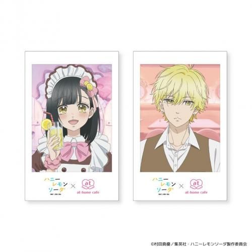ڻTV˥֥ϥˡ󥽡סߤäȤۤ५ե2祻å<img class='new_mark_img2' src='https://img.shop-pro.jp/img/new/icons6.gif' style='border:none;display:inline;margin:0px;padding:0px;width:auto;' />
