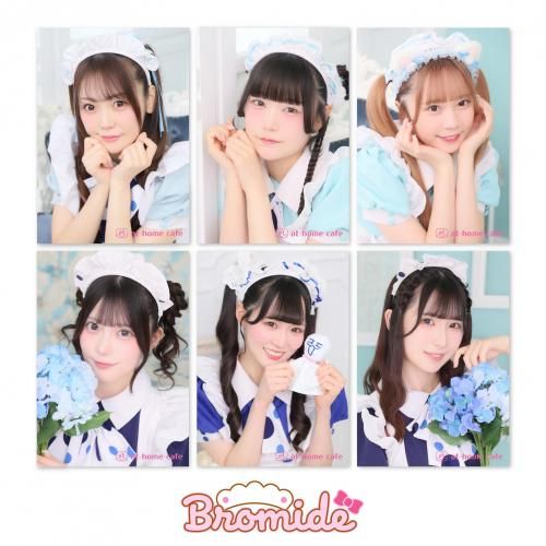 ո524()66()ۥ֥ޥɡ֥쥤ˡ10å<img class='new_mark_img2' src='https://img.shop-pro.jp/img/new/icons1.gif' style='border:none;display:inline;margin:0px;padding:0px;width:auto;' />