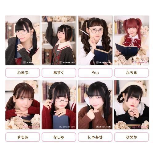 ֥ޥɡʸؾ10å<img class='new_mark_img2' src='https://img.shop-pro.jp/img/new/icons1.gif' style='border:none;display:inline;margin:0px;padding:0px;width:auto;' />