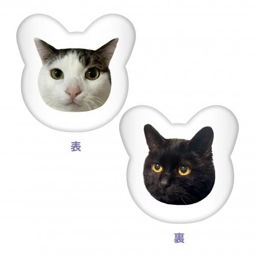 ǰåChimu٥å<img class='new_mark_img2' src='https://img.shop-pro.jp/img/new/icons30.gif' style='border:none;display:inline;margin:0px;padding:0px;width:auto;' />