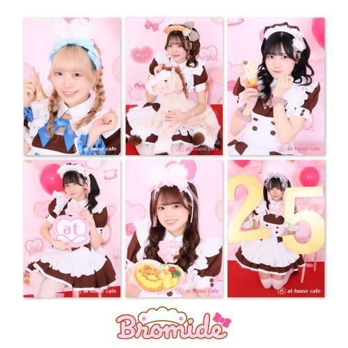 �������֥��ޥ��ɡ�2025 to 2026��5���å�<img class='new_mark_img2' src='https://img.shop-pro.jp/img/new/icons1.gif' style='border:none;display:inline;margin:0px;padding:0px;width:auto;' />