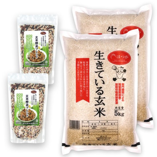 玄米酵素ごはんセットc 玄米酵素ブレンド500g 生きている玄米5kg 厳選した100 国内産雑穀を採用