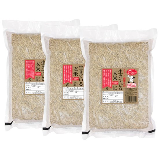  【生きている玄米プレミアム×たきたて】6kg 農薬・化学肥料無使用 自然乾燥米  令和4年産