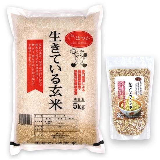 ƻ򤴤Ϥ󥻥åȡʤʤǤ֥500g + Ƥ븼5kg 4ǯʡ温