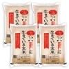Ƥ븼20kg 4ǯĹ