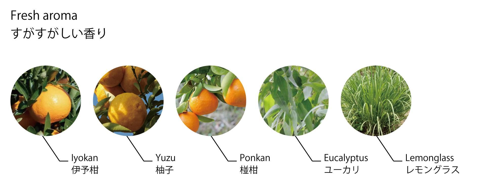 ͽ,ͮ,ܮ,桼,󥰥饹