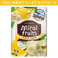 フリーズドライ フルーツ [バナナ]  単品 mirai fruits(ミライフルーツ) 