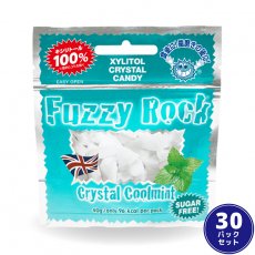 【キシリトール100％キャンディー タブレット】Fuzzy Rock（ファジーロック） クールミント味【30パックセット】