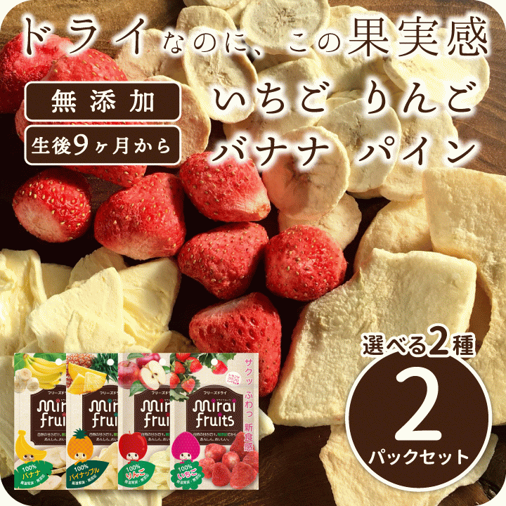 Mirai Fruitsシリーズ 選べる2種類 いちご りんご バナナ パイナップル みかん メロンから選べる2パックセット 無添加 無加糖 油不使用 ベビーフード ドライフルーツ