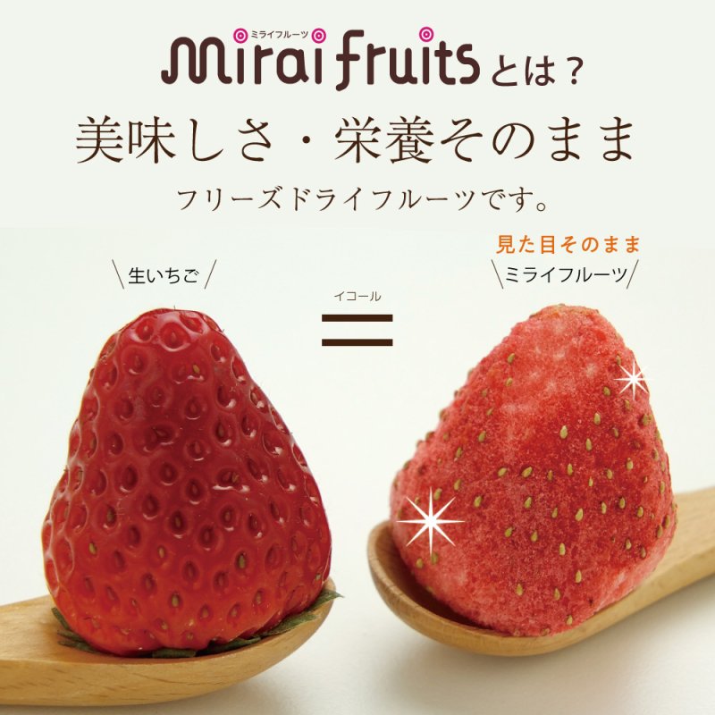 mirai-fruitsシリーズ【いちご 単品】　無添加 無加糖 油不使用 ベビーフード　ドライフルーツ　フリーズドライフルーツ　防災食品