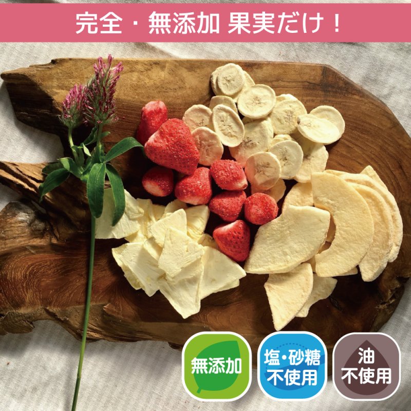 mirai-fruitsシリーズ【いちご 単品】 無添加 無加糖 油不使用 ベビーフード ドライフルーツ フリーズドライフルーツ 防災食品