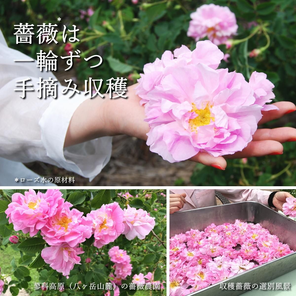 飲むローズ水30本セット（毎日たのしむ薔薇美容！）