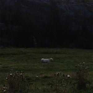 Ulla /Limitless frame レコード Ulla - Limitless Frame