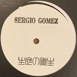 12inchレコード380枚セット (テクノ/ハウス) naminohana records