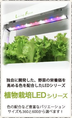 独自開発の植物LEDシリーズ。野菜の栄養価を高める光色を配合。