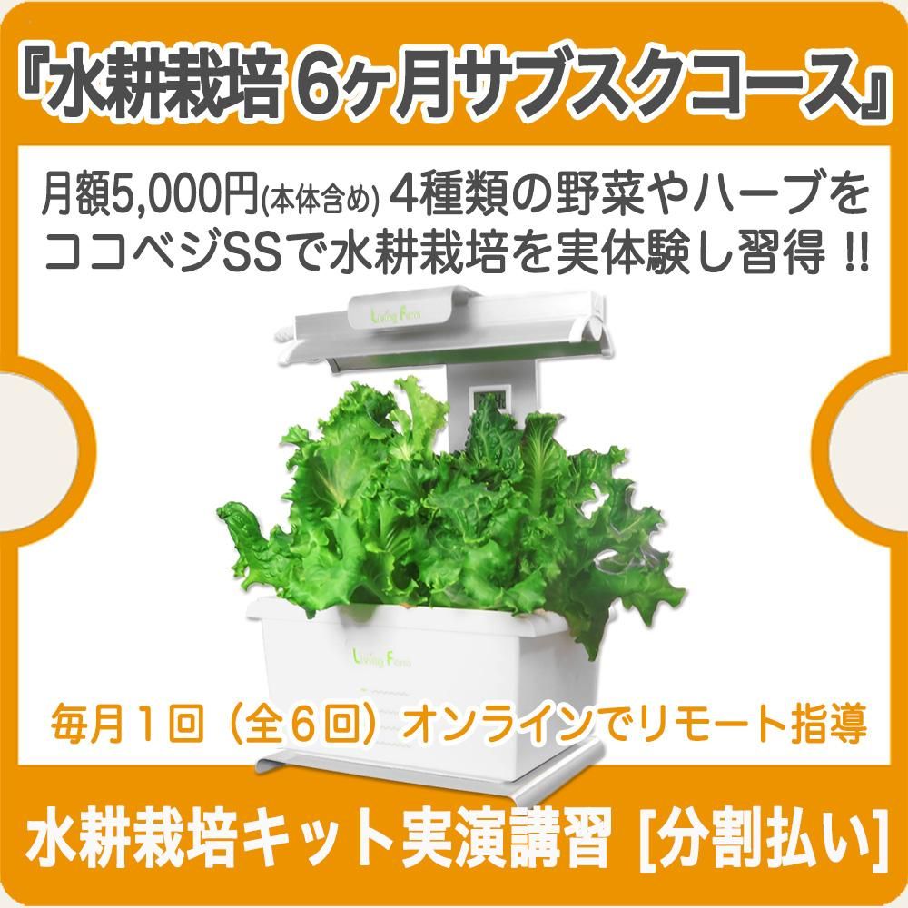 水耕栽培を完全習得できる体験型オンライン講座