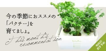 εˤΡ֥ѥפƤޤ硣