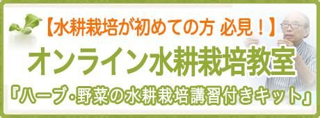 ϡ֡ 饤̺ݶ
