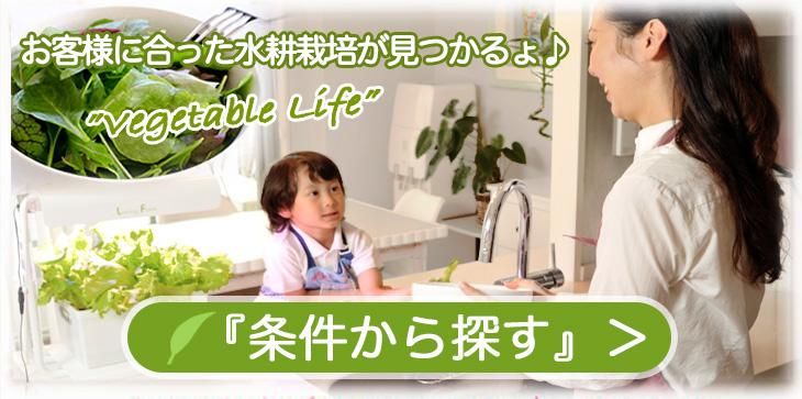 水耕栽培専門のリビングファーム・ショップ 水耕栽培専門のリビングファーム・ショップ