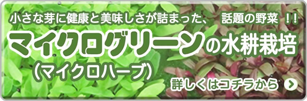 ޥ꡼ο̺