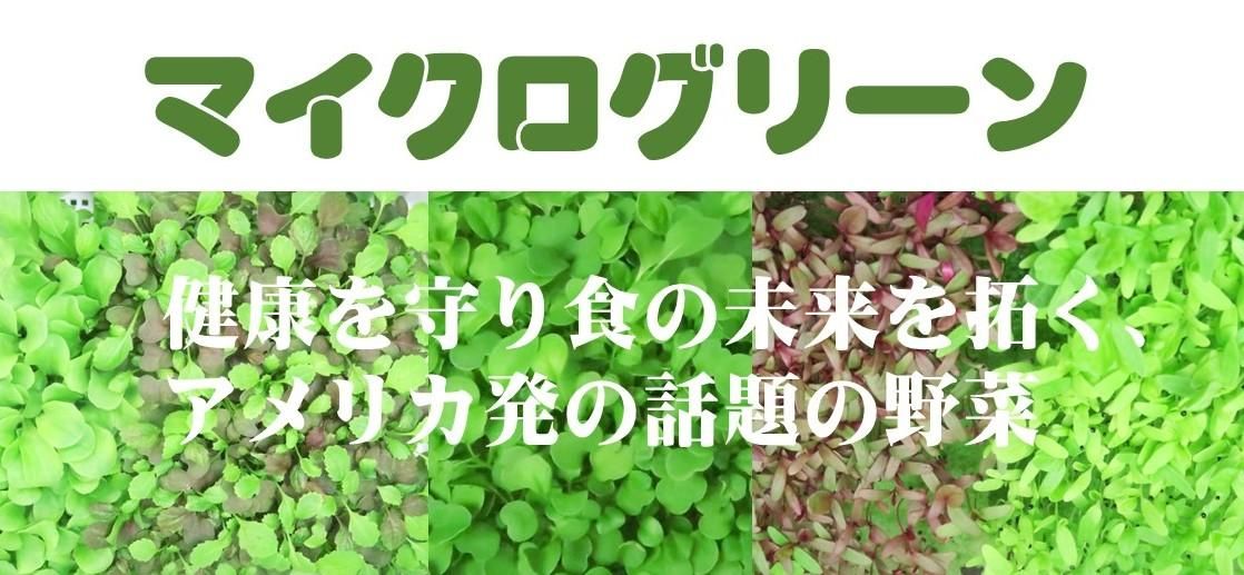 ޥ꡼󡢷򹯤꿩̤󤯥ꥫȯ