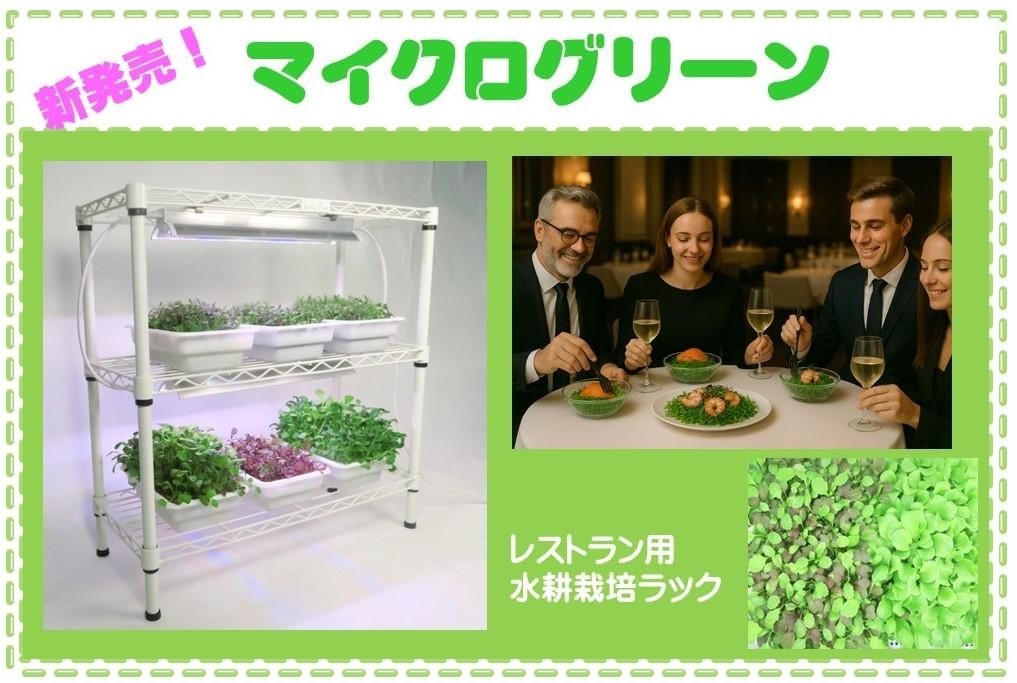 ե쥹ȥǥޥ꡼̺ݥå