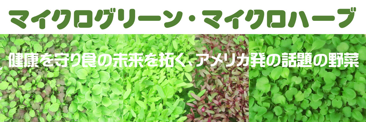 マイクログリーンとは、マイクロリーフとは