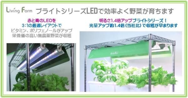 本格野菜を育てる水耕栽培キット | 室内農園 Rシリーズ 中型水耕 本格野菜を育てる水耕栽培キット | 室内農園 Rシリーズ 中型水耕
