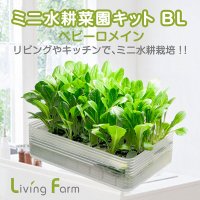 初めての水耕栽培キット｜リーフレタス等の 野菜やハーブの水耕栽培