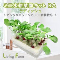 初めての水耕栽培キット｜リーフレタス等の 野菜やハーブの水耕栽培