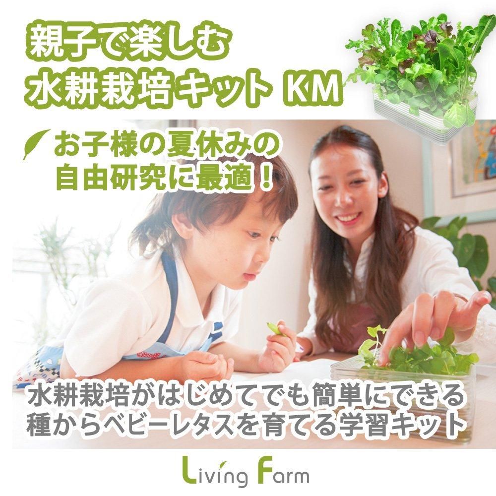 ベビーレタスの水耕栽培キット こどもとお母さんの水耕栽培キット Bm 自由研究に最適キット ベビーレタスの水耕栽培キット こどもとお母さんの水耕栽培キット Bm 自由研究に最適キット